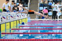 水運會 Swimming Gala