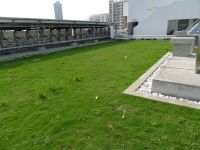 Green_roof